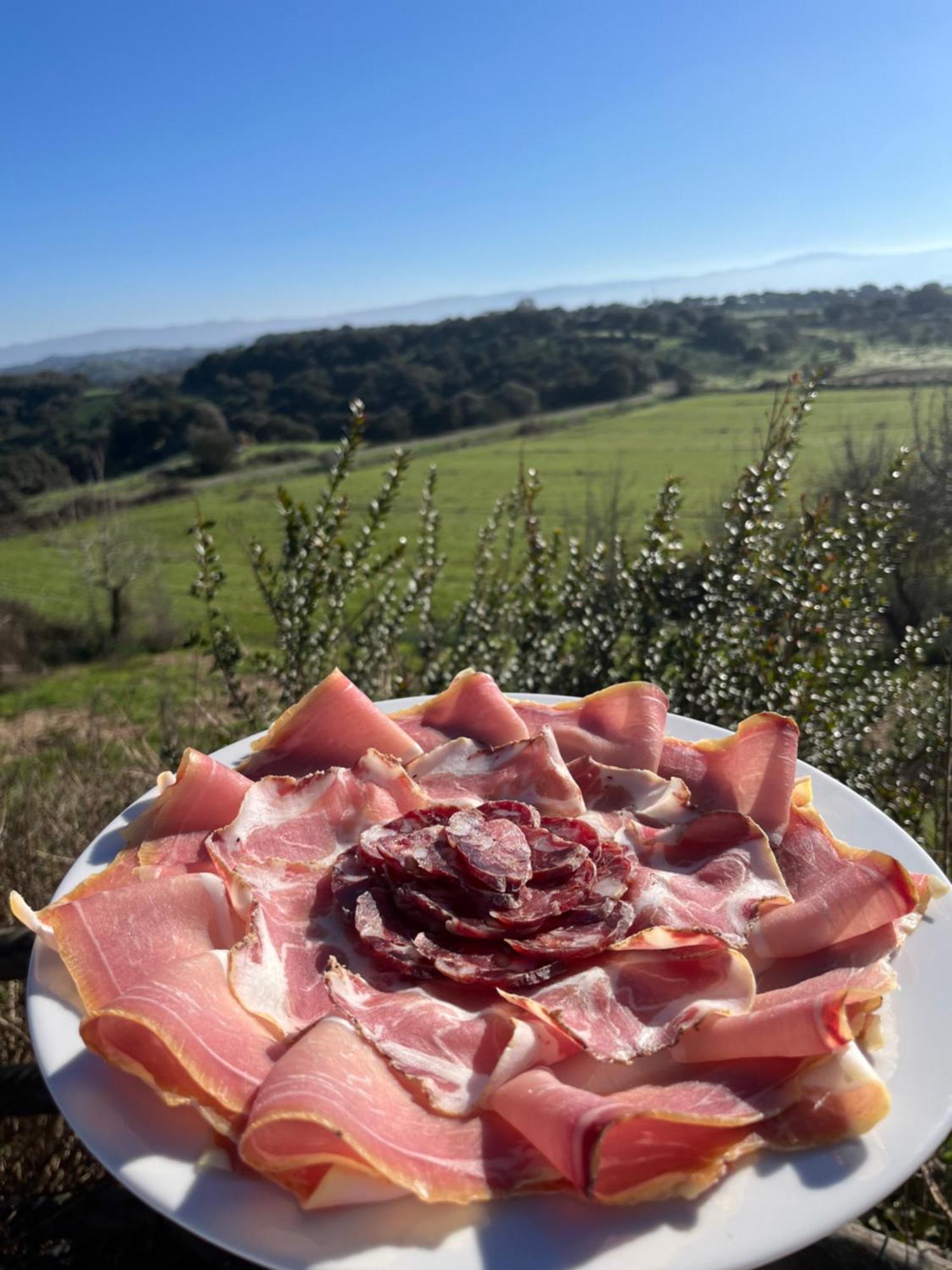 Agriturismo Sa Pigalva Tula Dış mekan fotoğraf