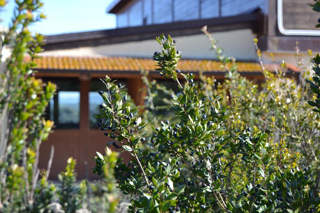 Agriturismo Sa Pigalva Tula Dış mekan fotoğraf