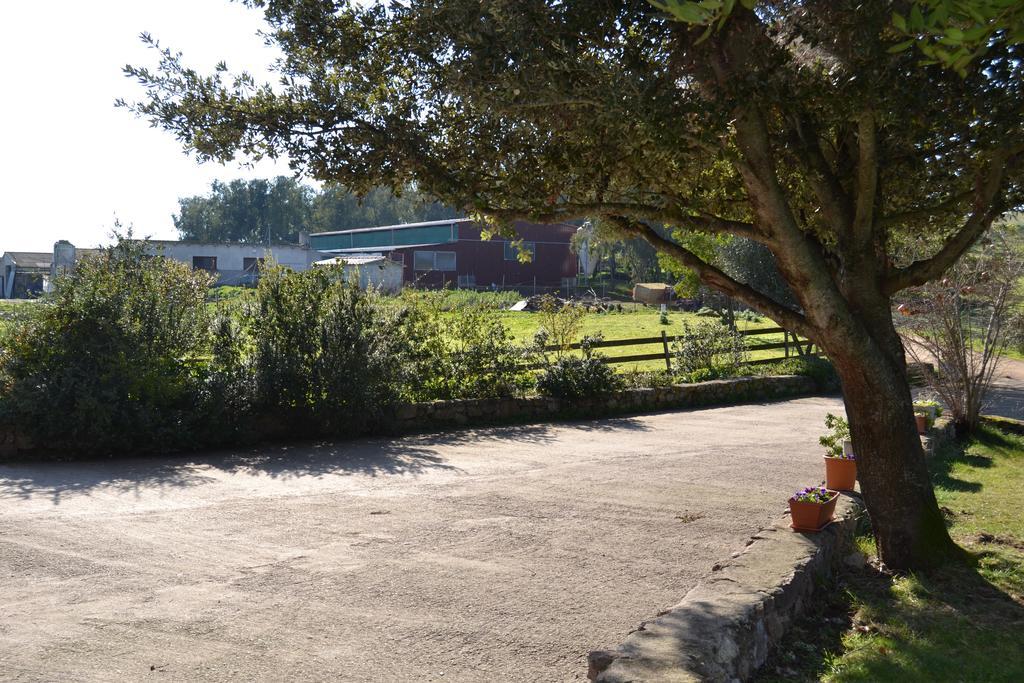 Agriturismo Sa Pigalva Tula Dış mekan fotoğraf